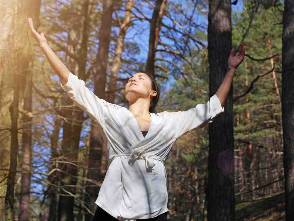 Forest bathing