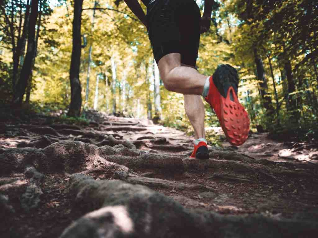 Trail running forest