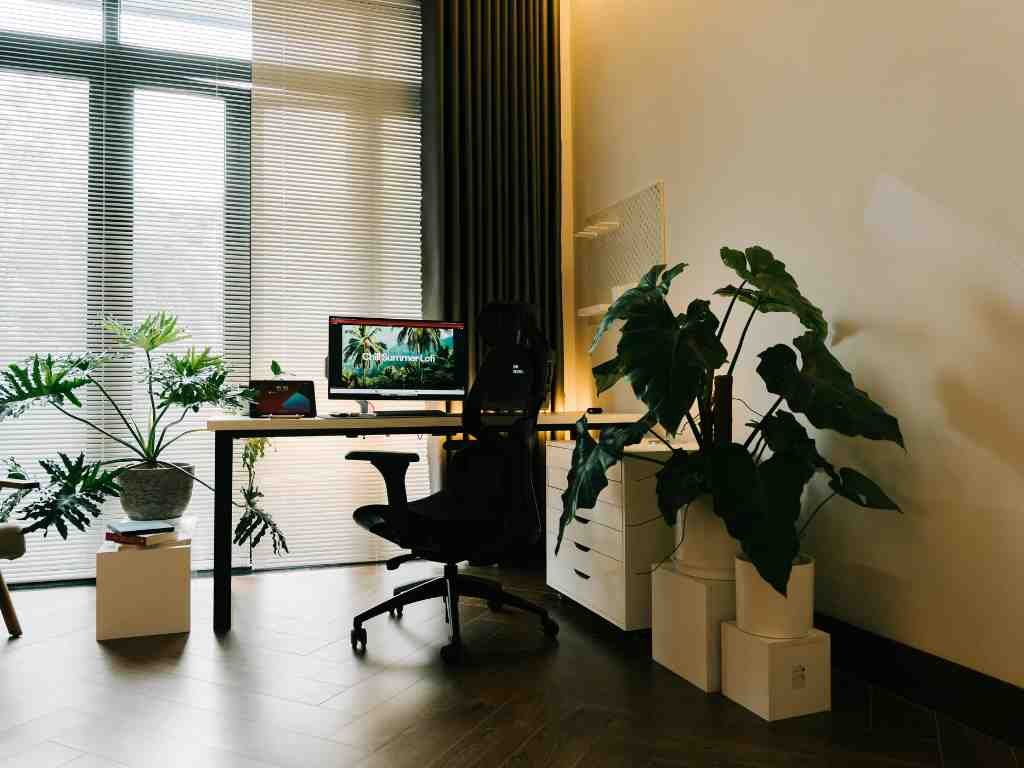 Indoor Plants